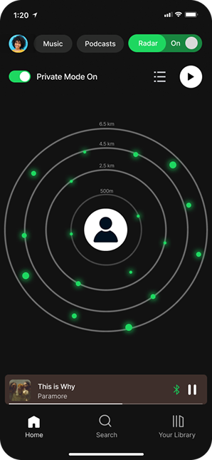 Radar privacy view
